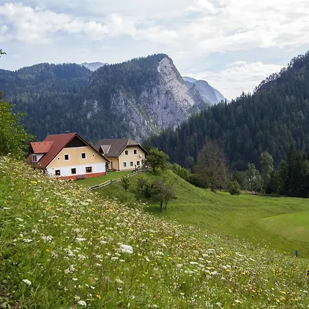 Tourist Farm Gradisnik Apartment Solcava Exterior photo