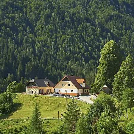 Tourist Farm Gradisnik Apartment Solcava Exterior photo
