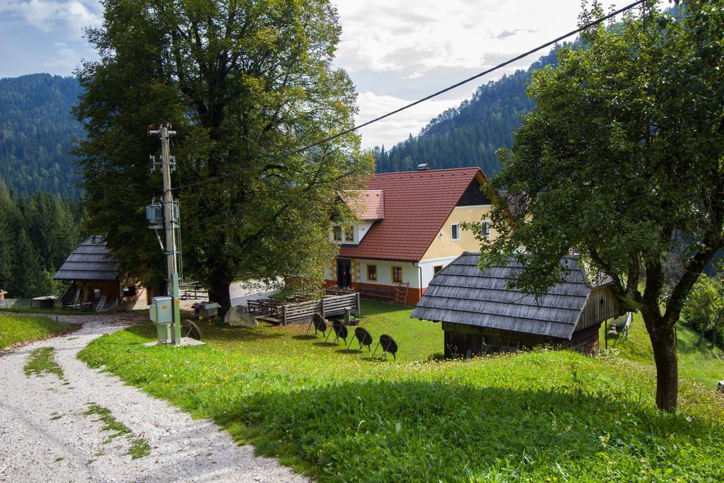 Apartment Tourist Farm Gradisnik Solcava
