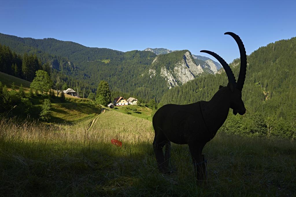 Tourist Farm Gradisnik