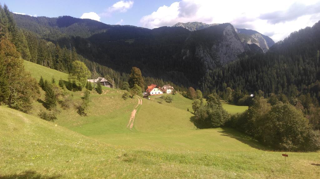 Apartment Tourist Farm Gradisnik