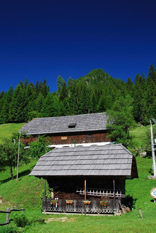 Apartment Tourist Farm Gradisnik