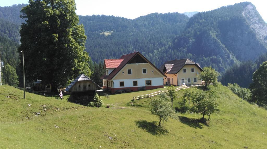 Tourist Farm Gradisnik Solcava