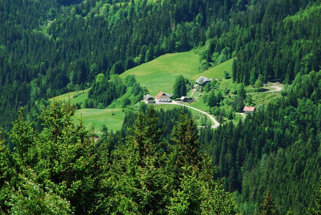 Apartment Tourist Farm Gradisnik Solcava